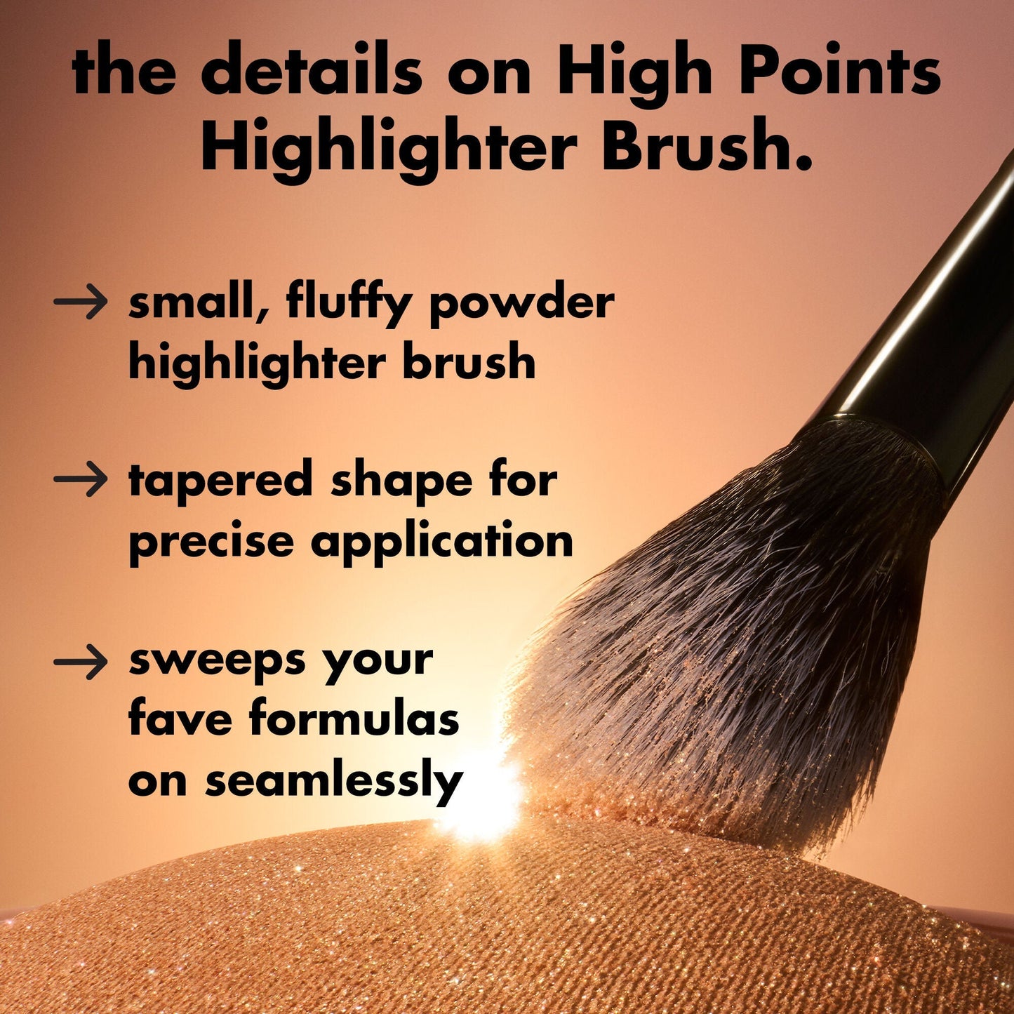high-points-highlighter-brush-d6 0226_EDU_HighpointsHighlighterBrush_Details.jpg
