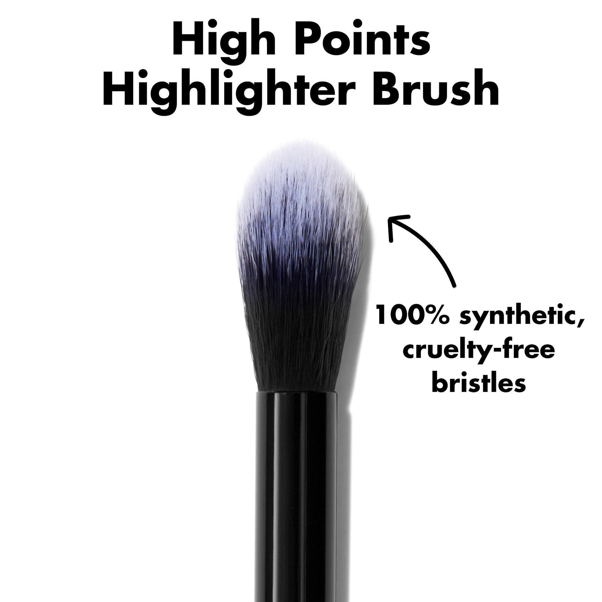 high-points-highlighter-brush-d6 0226_EDU_HighpointsHighlighterBrush_ProductDetail.jpg