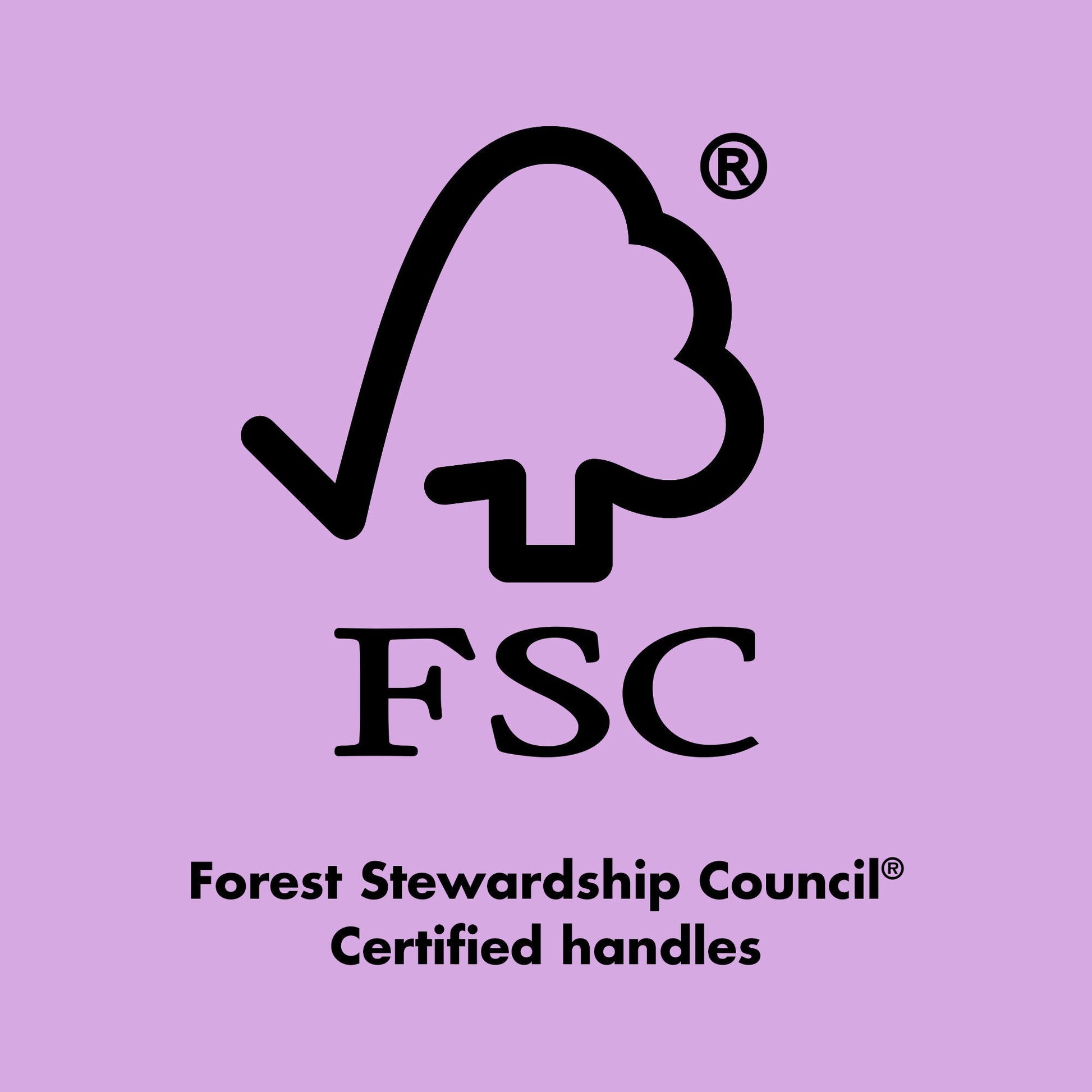 ten-out-of-ten-brush-kit-u4 0423_EDUCATION_FSC_EVERGREEN.jpg
