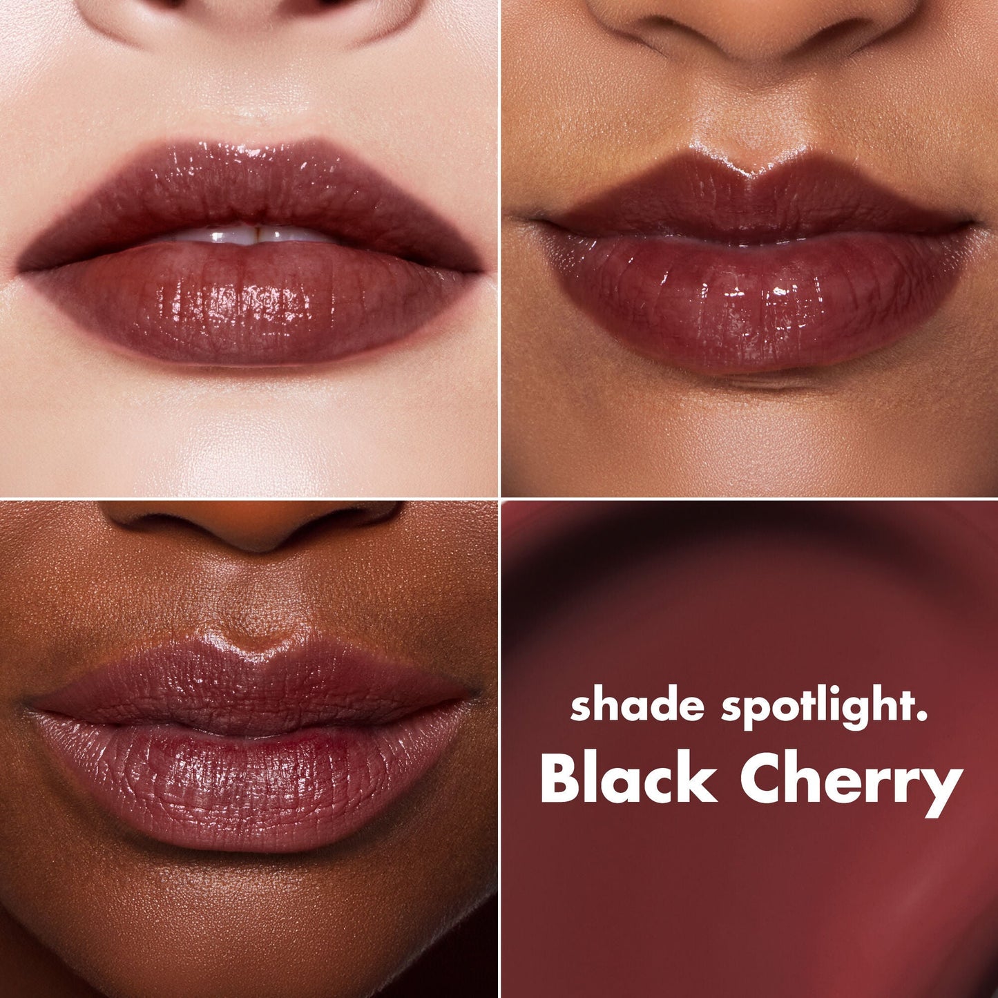 lip-lacquer-d0 0426_EDU_LipLaquer_ShadeChart_BlackCherry.jpg