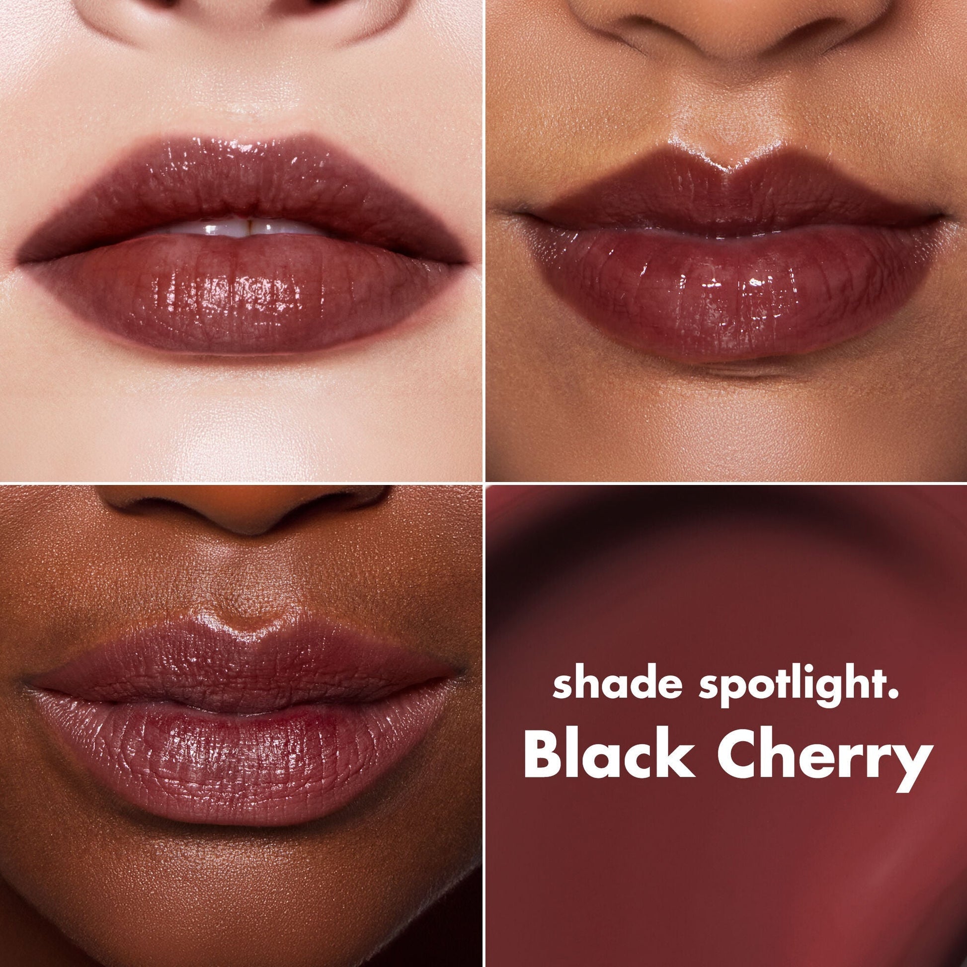 lip-lacquer-d0 0426_EDU_LipLaquer_ShadeChart_BlackCherry.jpg