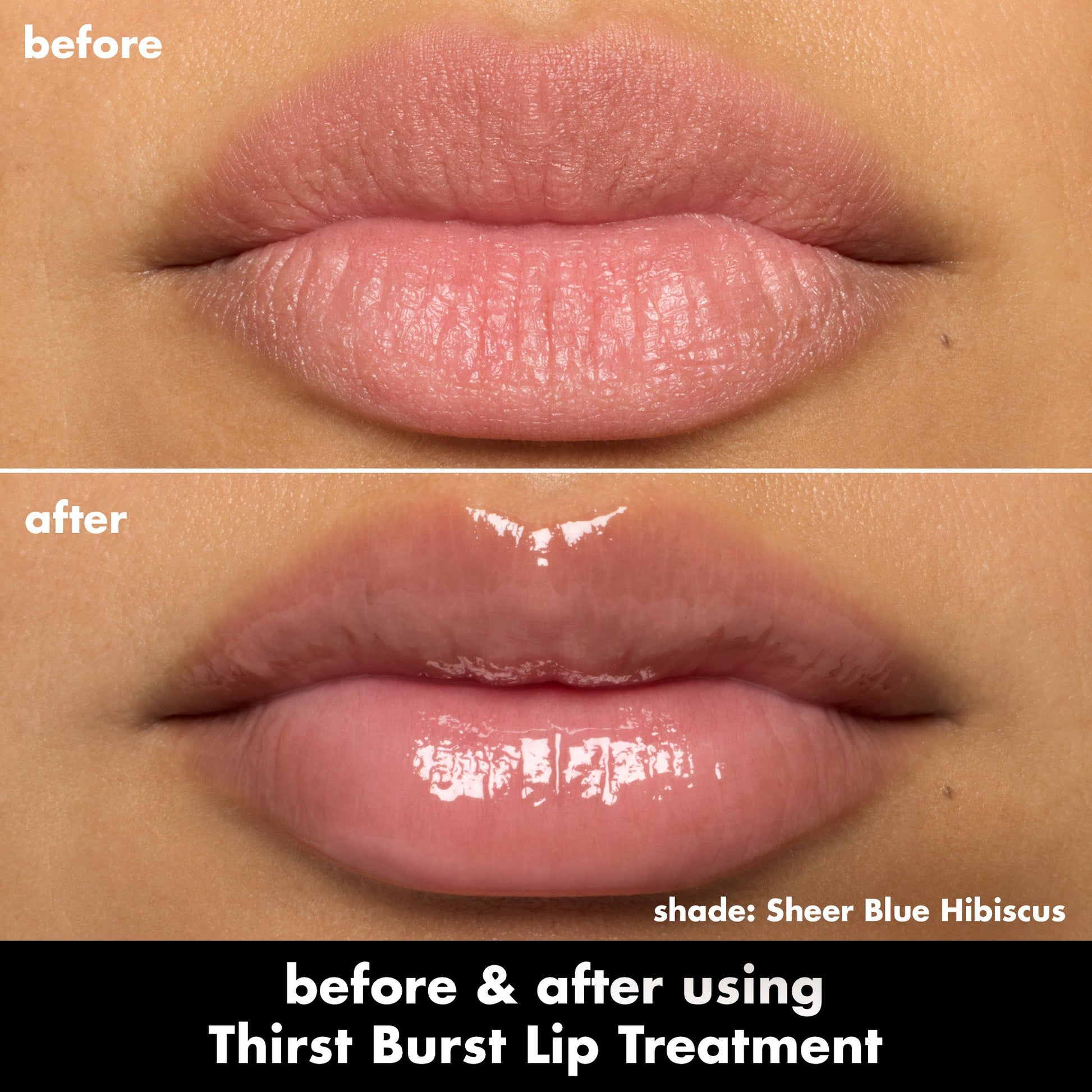 thirst-burst-lip-treatment-m2 0526_SEO_ThirstBurstLipTreatment_BA_SheerBlueHibiscus.jpg