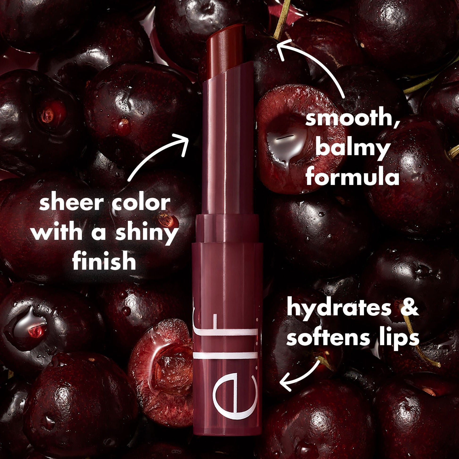 sheer-slick-lipstick-black-cherry-black-cherry-r6 0723_EDU_PDP_SHEERSLICK_BLACKCHERRY_PRODUCTINFO.jpg