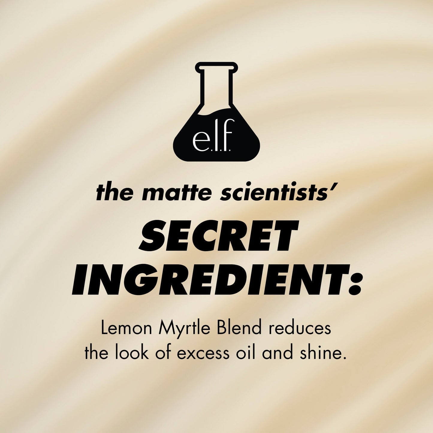 power-grip-matte-primer-t0 1224_EDUCATION_PGMATTE_INGREDIENT_b9de063f-aeb5-403f-9709-c3cafbf9c9d1.jpg